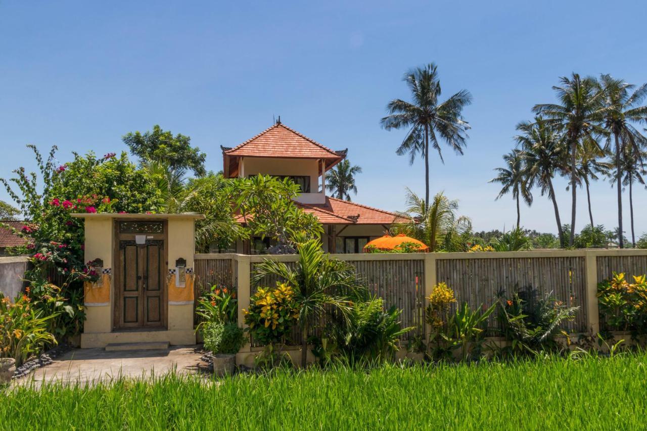 Villa Gayatri Hidden Oasis Амед Екстер'єр фото